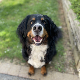 Mathilda profile