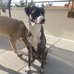 Ginny et albus profile
