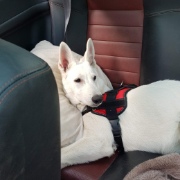 Neyka profile