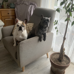 Leny et lyna profile