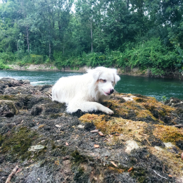 Làska et freyja profile