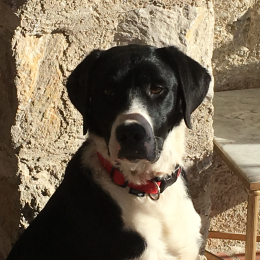 Rio profile