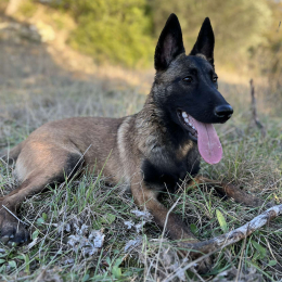 Tina profile