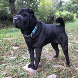 Marnie profile