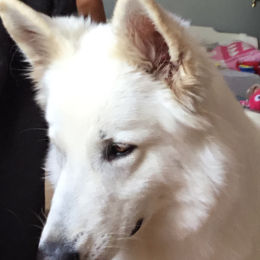 Narnya profile
