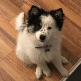 Rosie profile