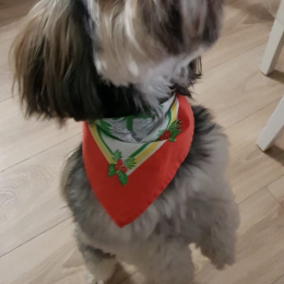 Otto profile