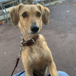 Olympe profile
