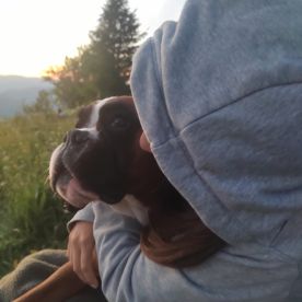 Lou