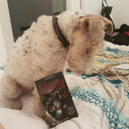 Grimm profile