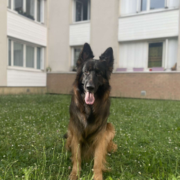 Hades profile