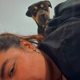 Boyka profile