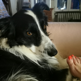 Eronn et abby profile