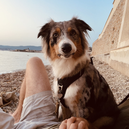 Llona profile