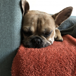 Omalley profile