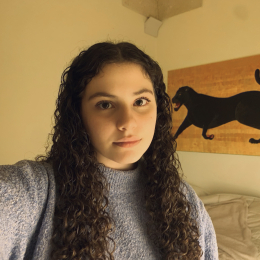 Vittoria profile