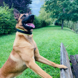 Rakam le rouge profile