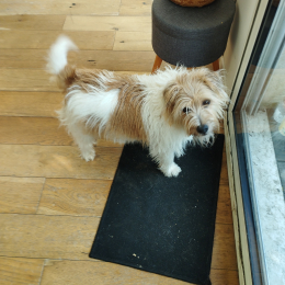 Oby profile
