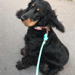 Yona profile