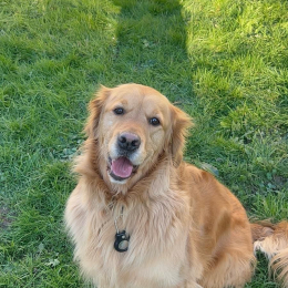 Cooper profile