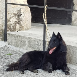 Shadow profile