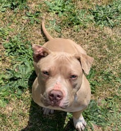 Tara profile