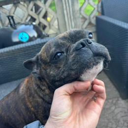Twixy profile