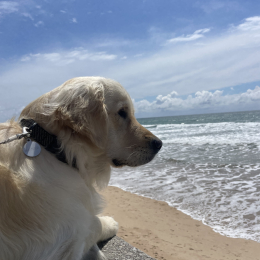 Erin profile