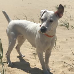 Oona profile