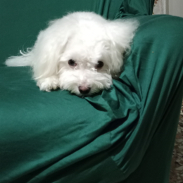 Spike profile