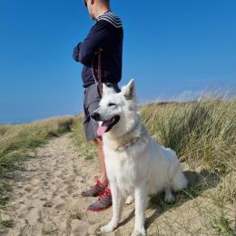 Doggo profile