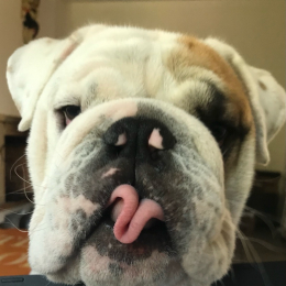 Raymond profile