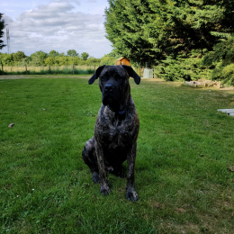 Usko profile