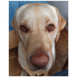 Rita profile