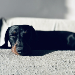 Hubert profile