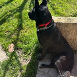 Togo profile