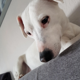 Happy  profile