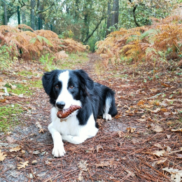 Rita profile