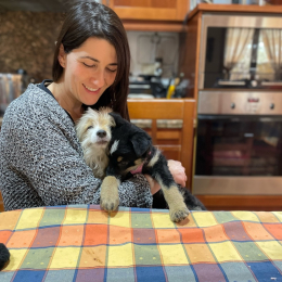 Carmen profile