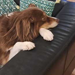 Camille profile