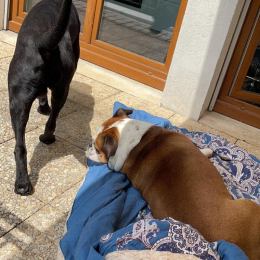 Marvin & kairon profile