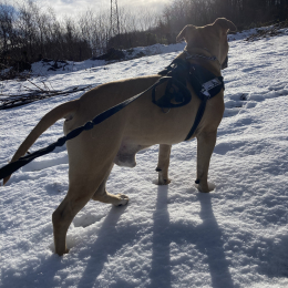 Ragnar profile