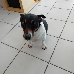 Oris profile