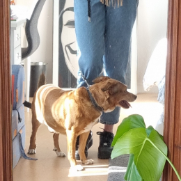 Laëtitia profile
