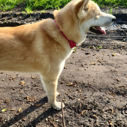 Gina profile