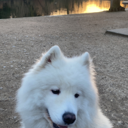 Tara profile