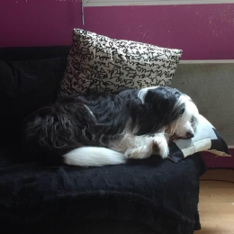 Kapla et oxmo profile