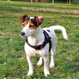 Christophe profile