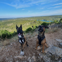Koda et luna profile