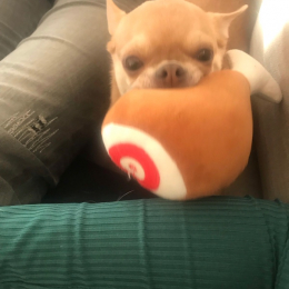 Milo profile